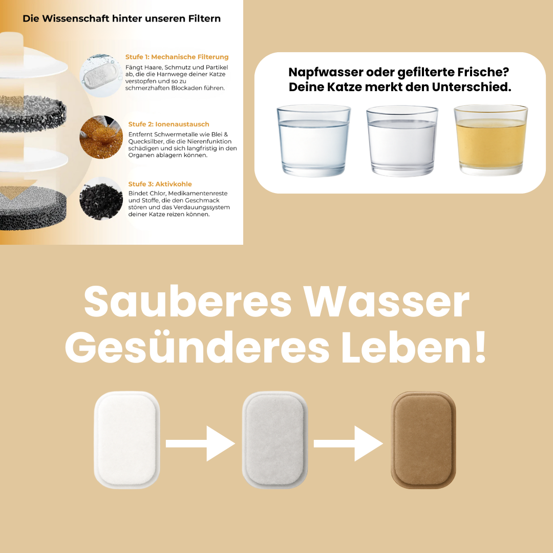 Aktiv-Filter Set für den Vitalbrunnen 2.2l
